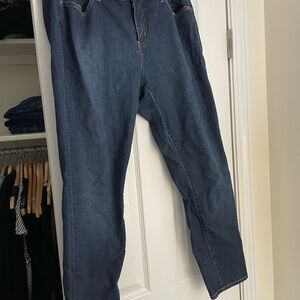 Torrid skinny Jeans